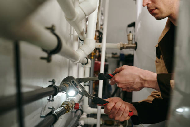 Best Affordable Plumbing Services  in Colfax, IL