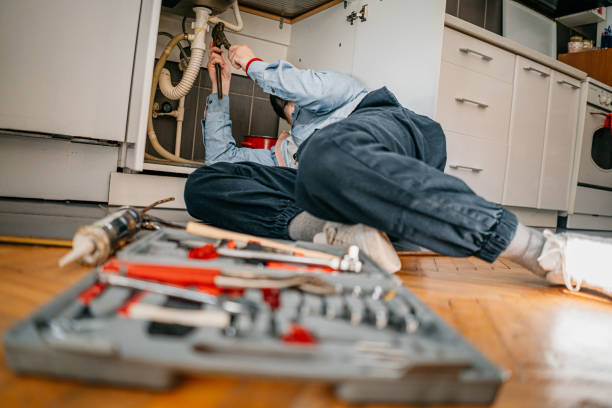 Best Septic Systems  in Colfax, IL