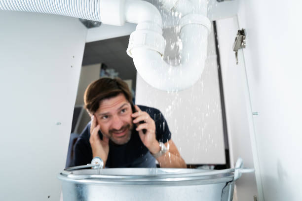 Sprinkler Systems in Colfax, IL