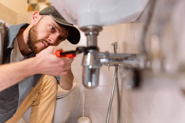 Best Affordable Plumber Near Me  in Colfax, IL