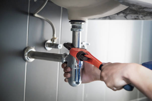 Best Leak Detection Services  in Colfax, IL
