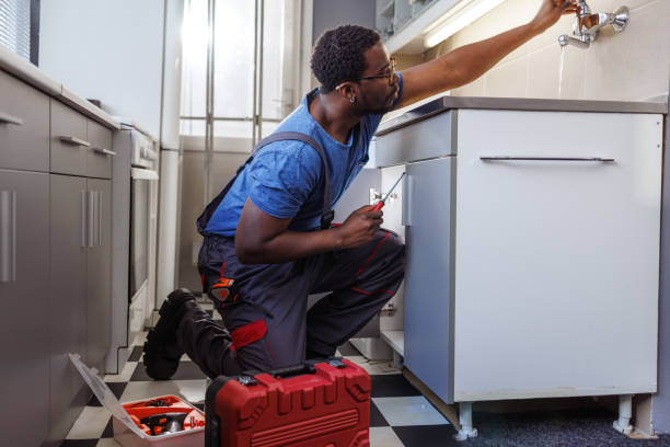 Best Leak Detection Services  in Colfax, IL